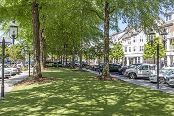 Open green spaces for your furry family members